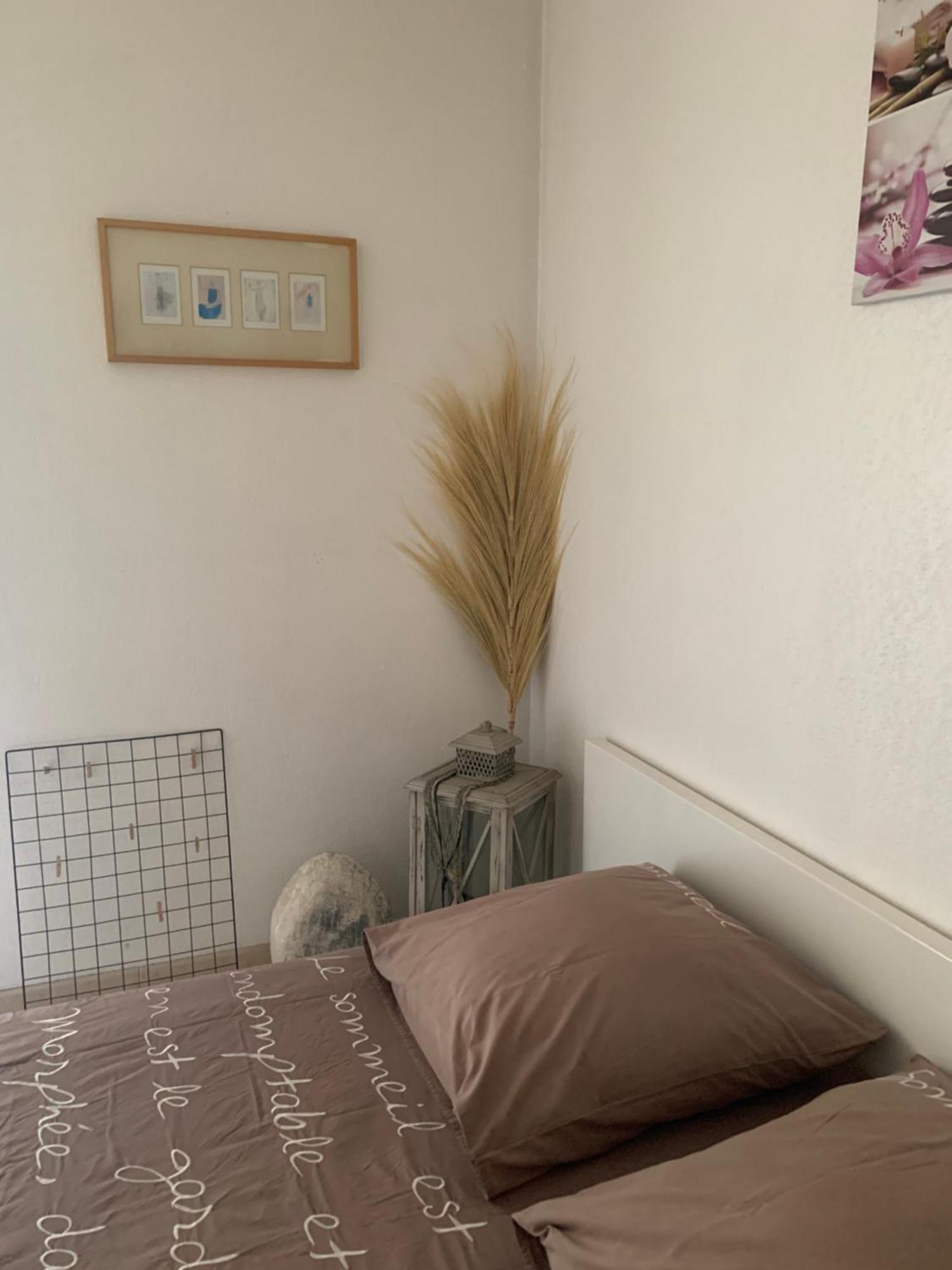 Ferienwohnung Votre Sejour Cosy A Frejus! Exterior foto